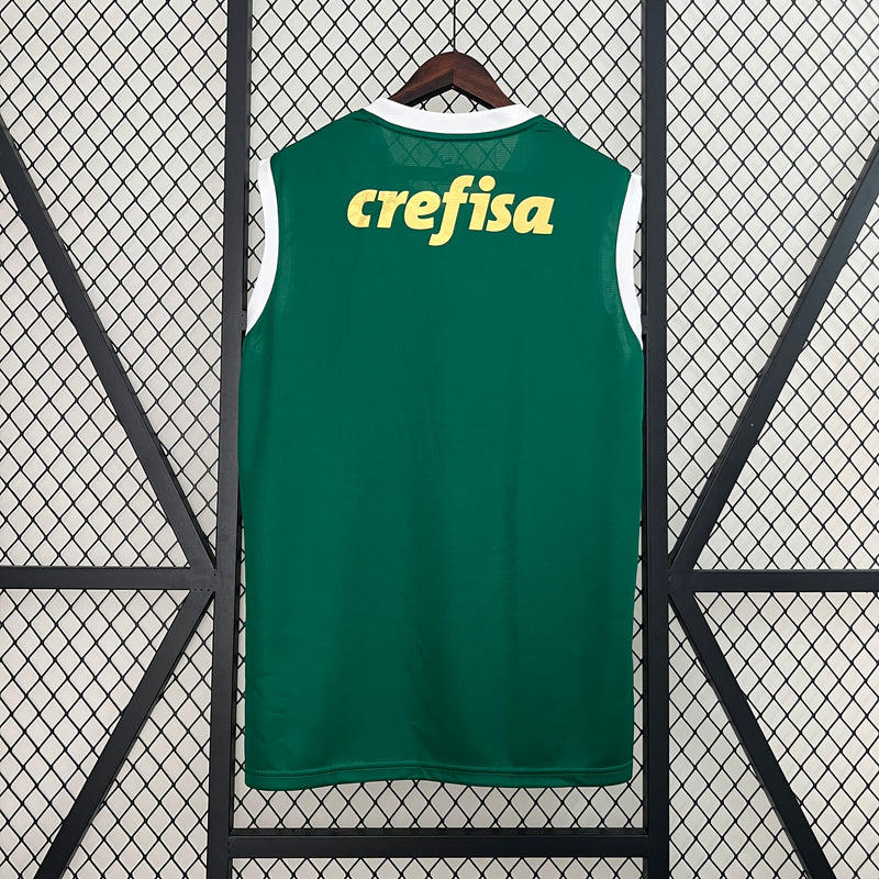 Regata Palmeiras Home 24/25