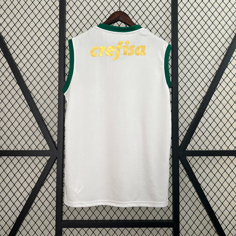 Regata Palmeiras Away 24/25